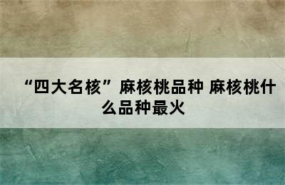 “四大名核”麻核桃品种 麻核桃什么品种最火